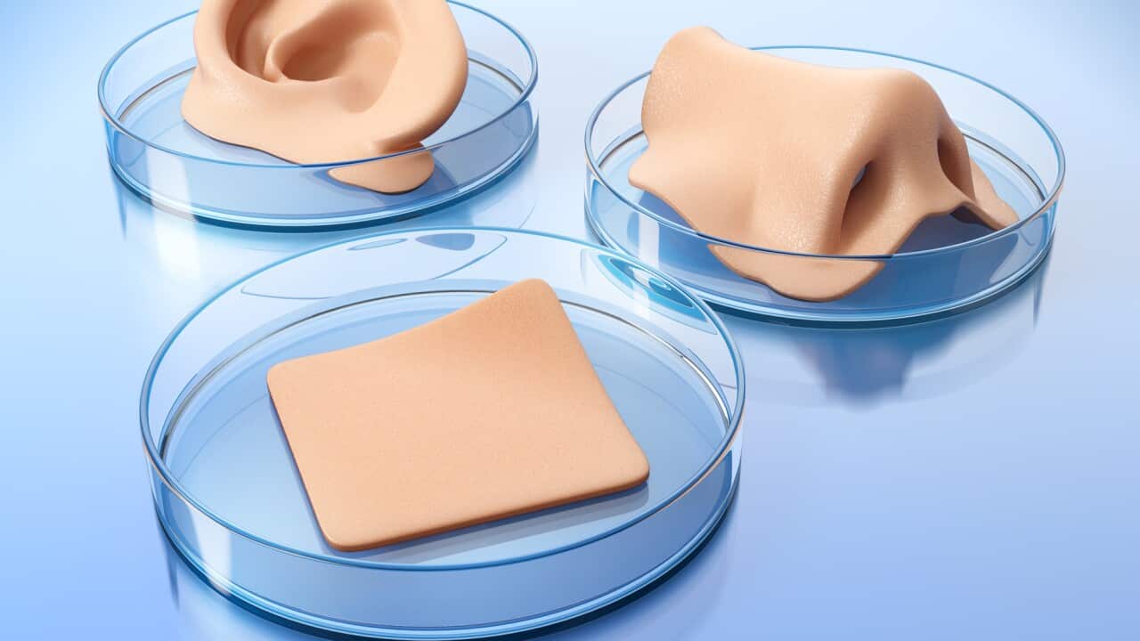 Supernumeracy has long fascinated us, with many obvious and peculiar examples throughout history.