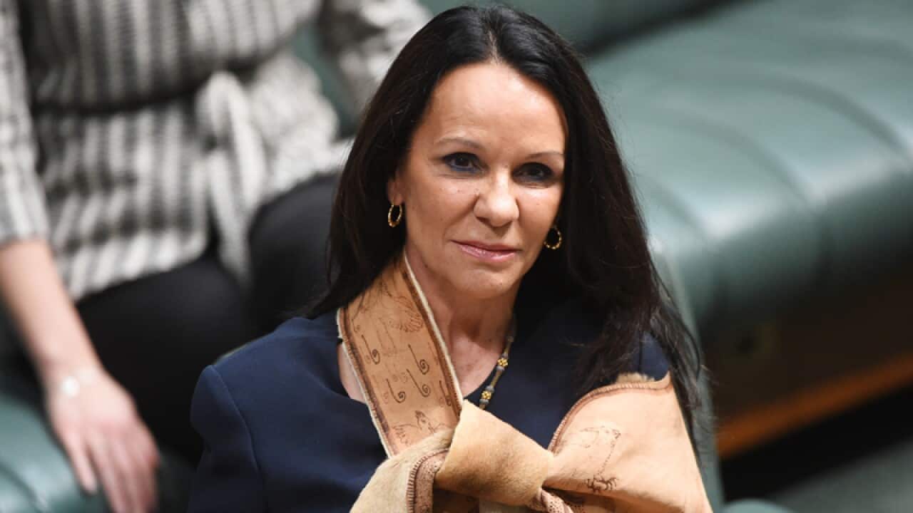 Labor frontbencher Linda Burney