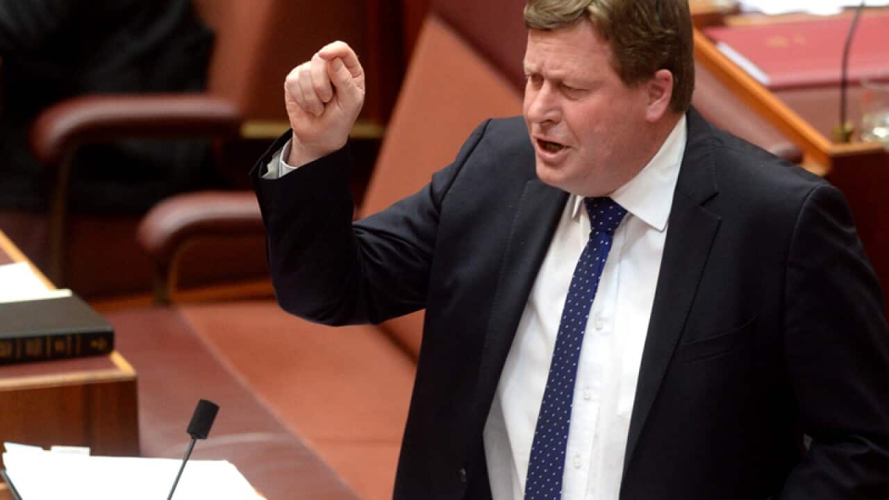 Veterans Affairs minister senator Michael Ronaldson