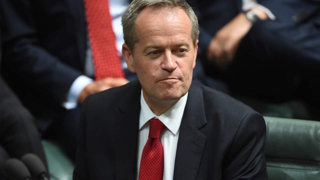 Leader of the Opposition Bill Shorten