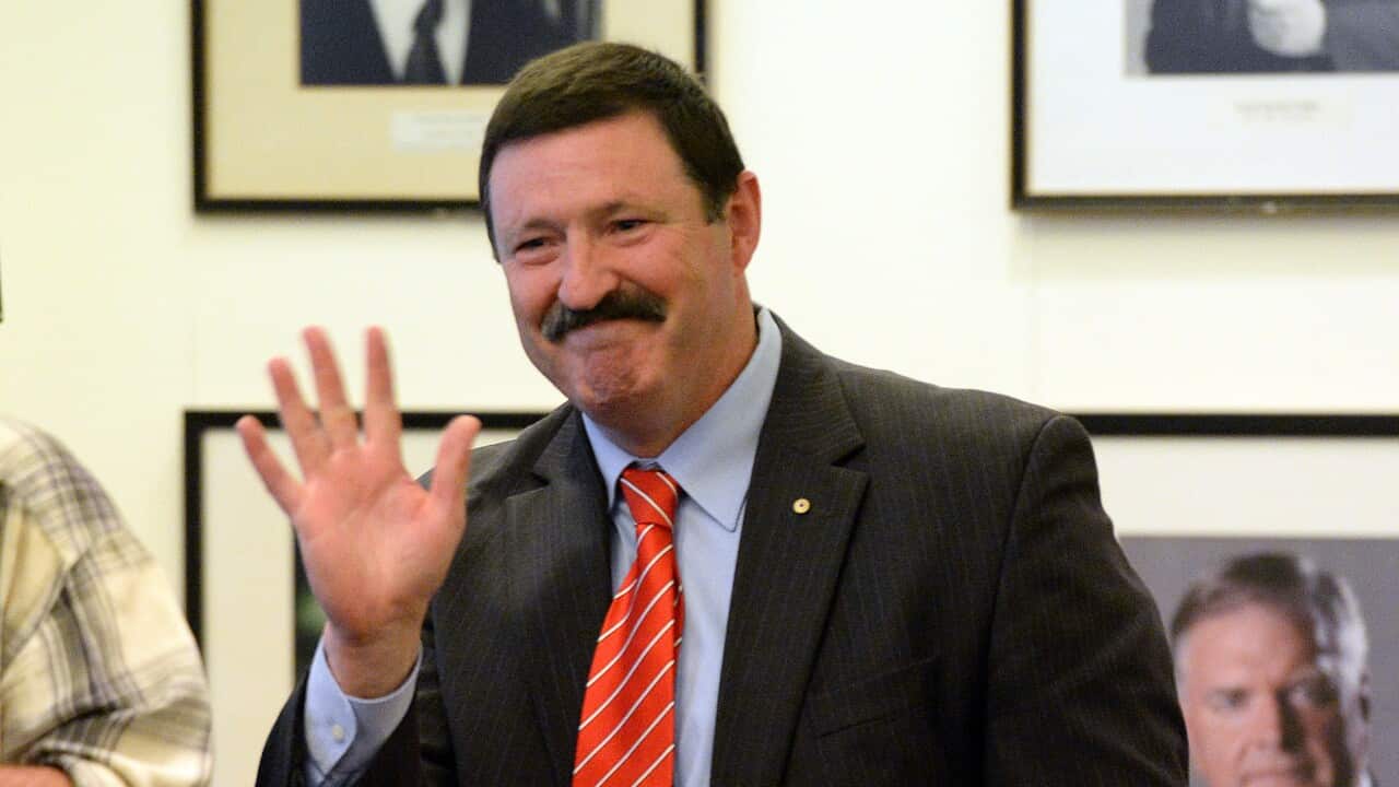 Labor MP Mike Kelly.