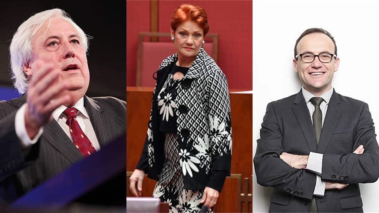 2022 Federal Election