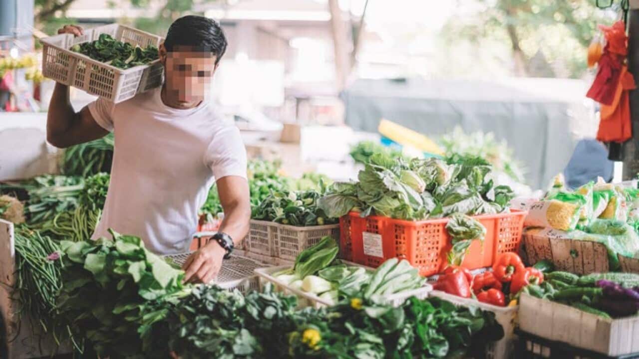 Man at a grocery store