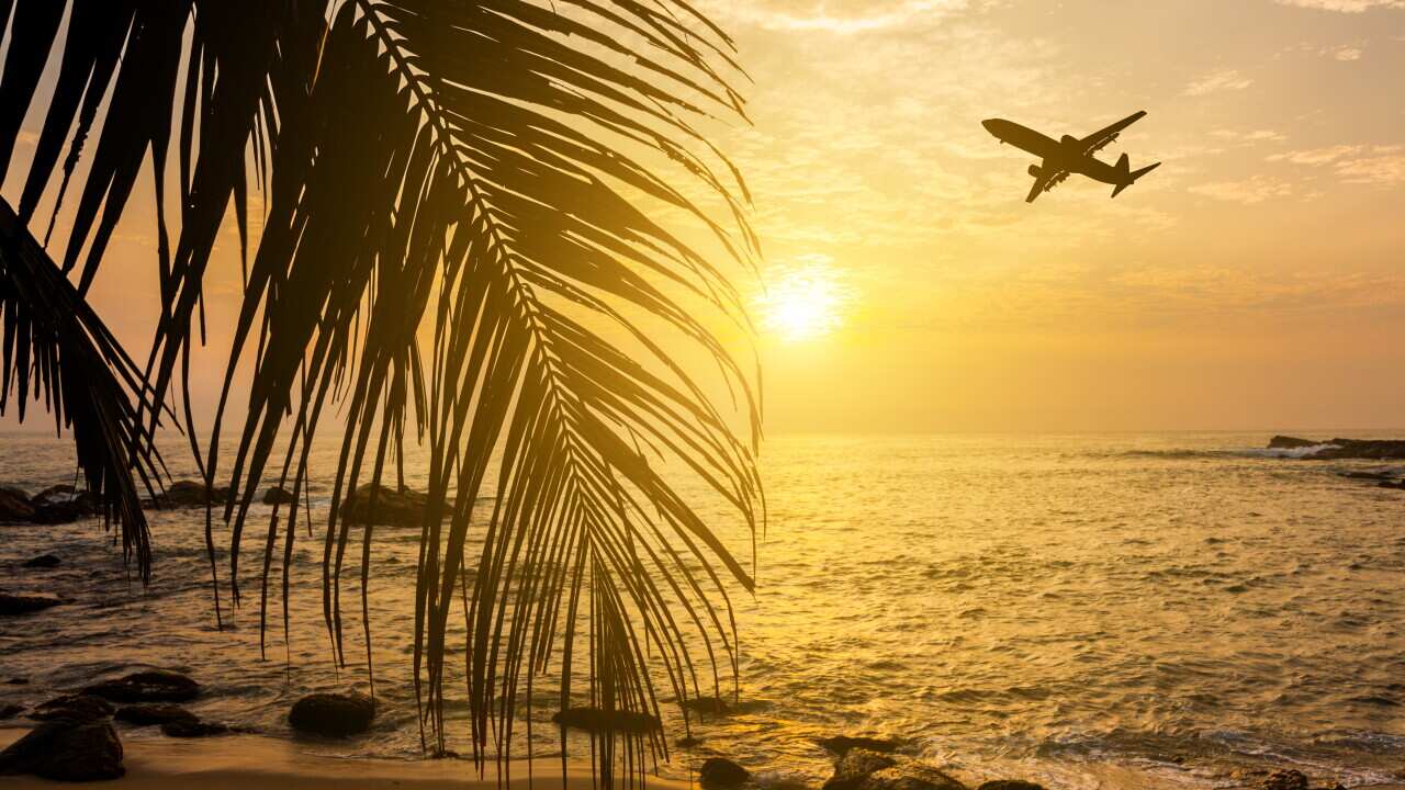 Tropical beach at sunset and a flying plane. Travel to a seaside resort
