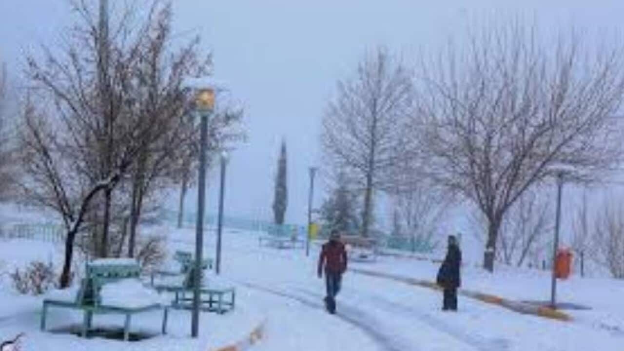 Heavy snow falls in Kurdistan Region