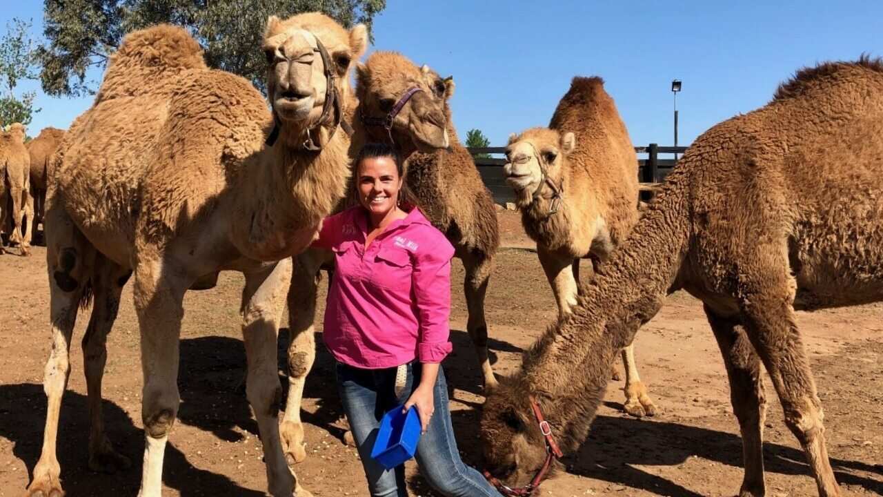 Michelle Phillips and friends