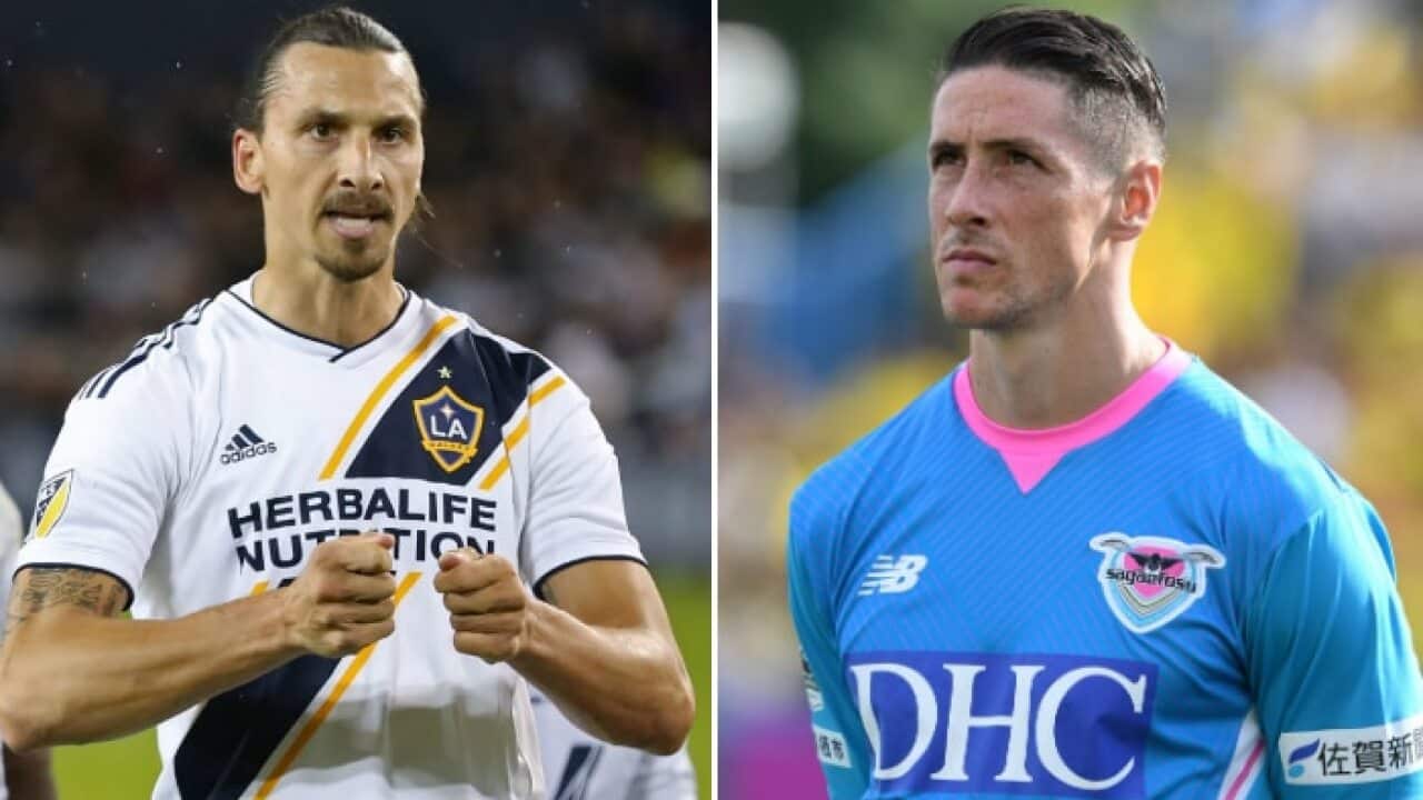 Zlatan Torres