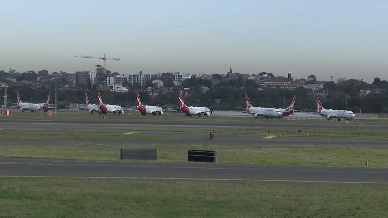 Qantas aircraft on the tarmac in Sydney