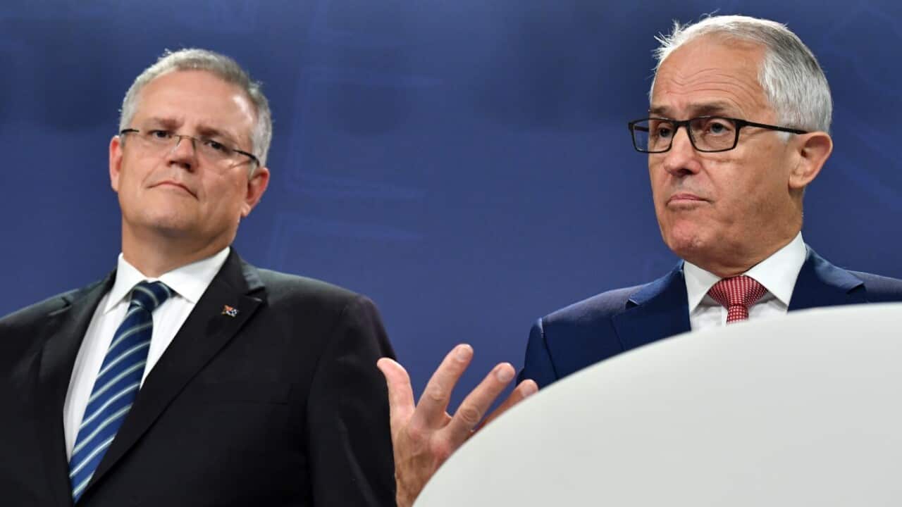 File image: Treasurer Scott Morrison and Prime Minister Malcolm Turnbull