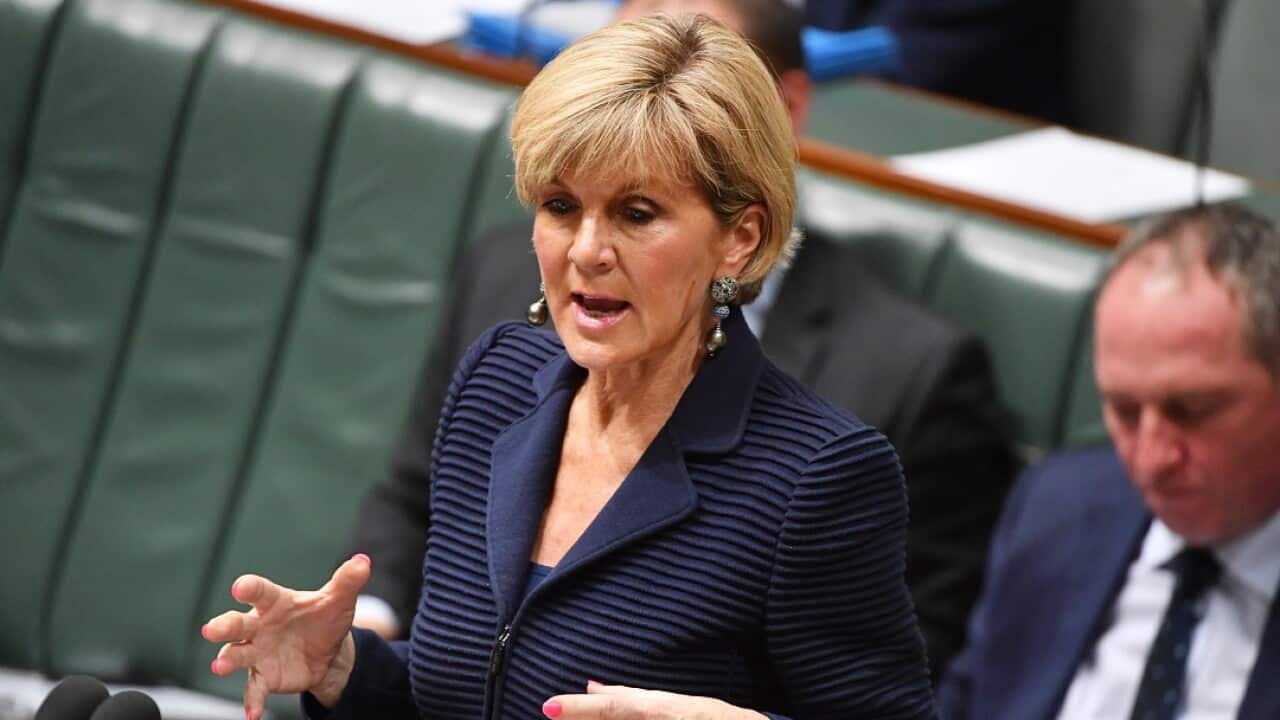 Foreign Affairs Minister Julie Bishop in Parliament.
