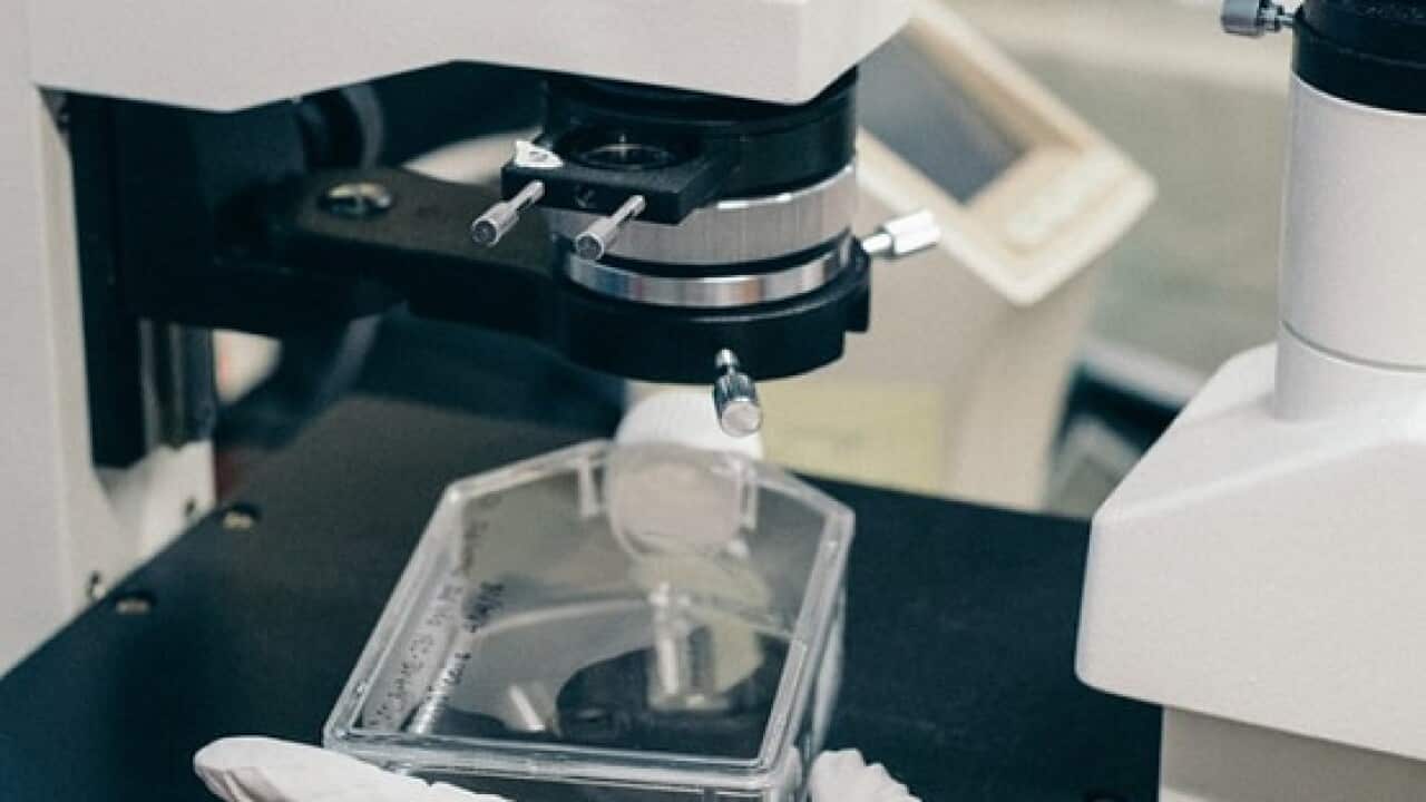 Highly Cited Researchers