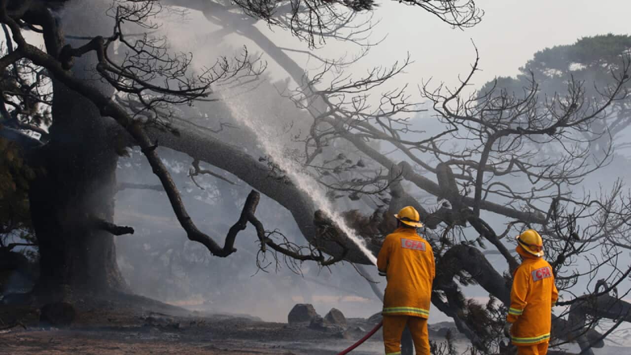 Firefighters work to contain a bushfire
