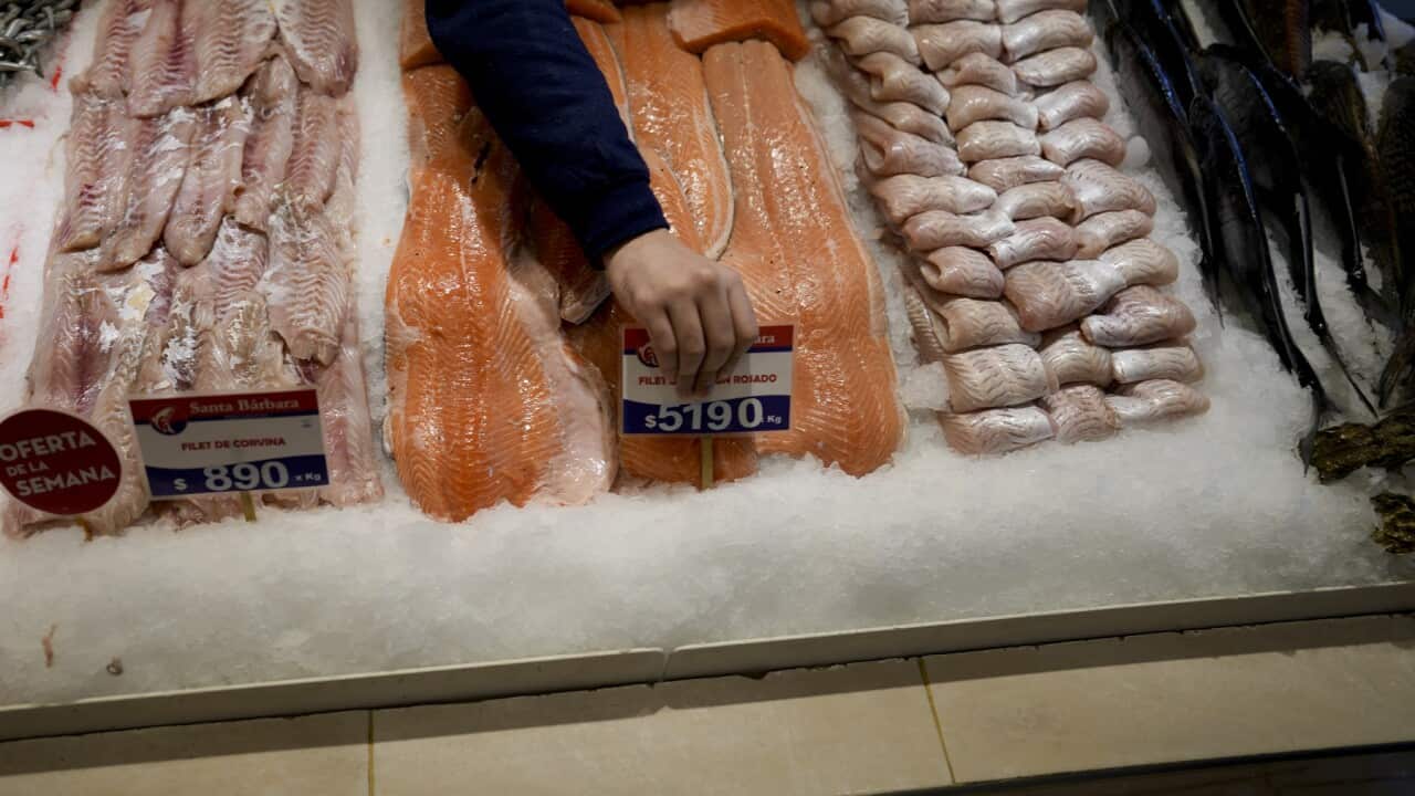 A fish store worker places 4-figure prices on produce