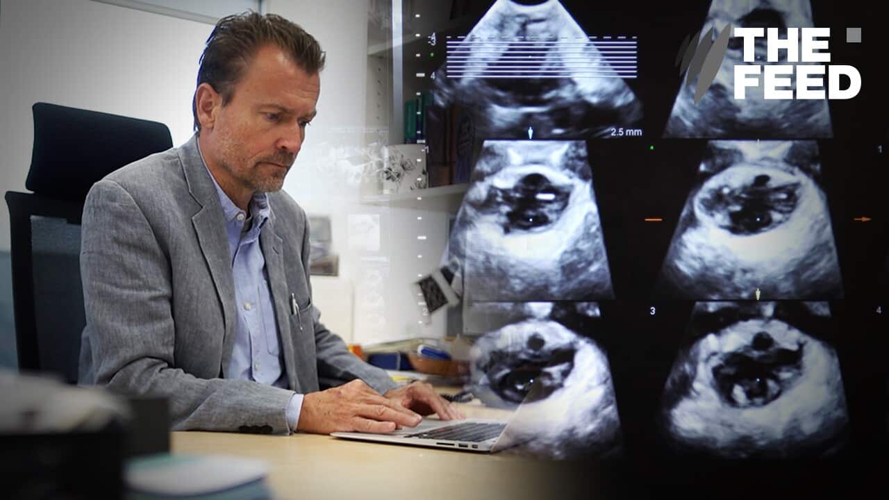 Professor Hans Peter Dietz