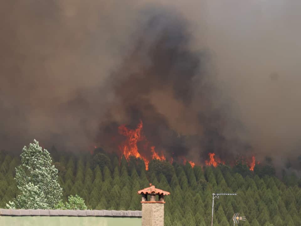 Spain Faces the Largest Forest Fire in Its History