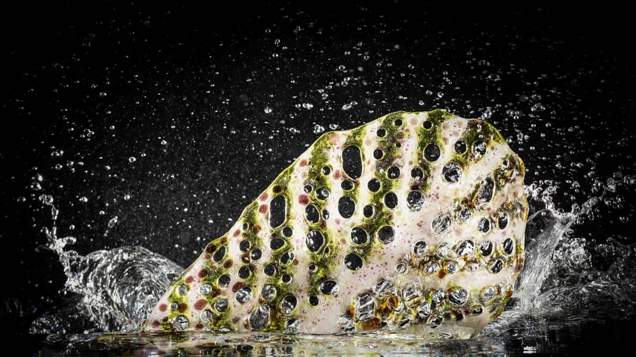 Sabrina DOWLING GIUDICI - Saltwaters - The Venice Glass Week - Image Credit - Anton Blume.jpg