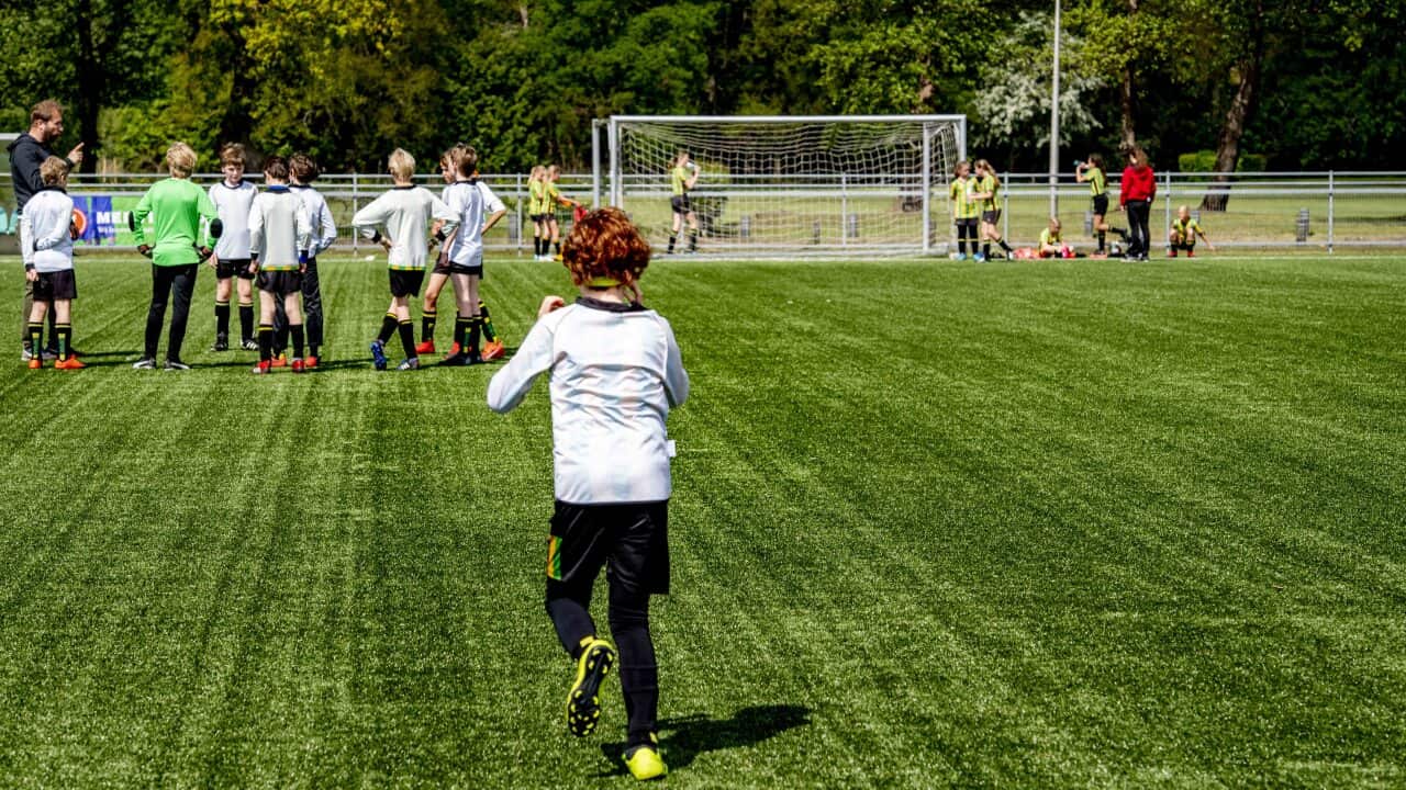 Image for read more article ''