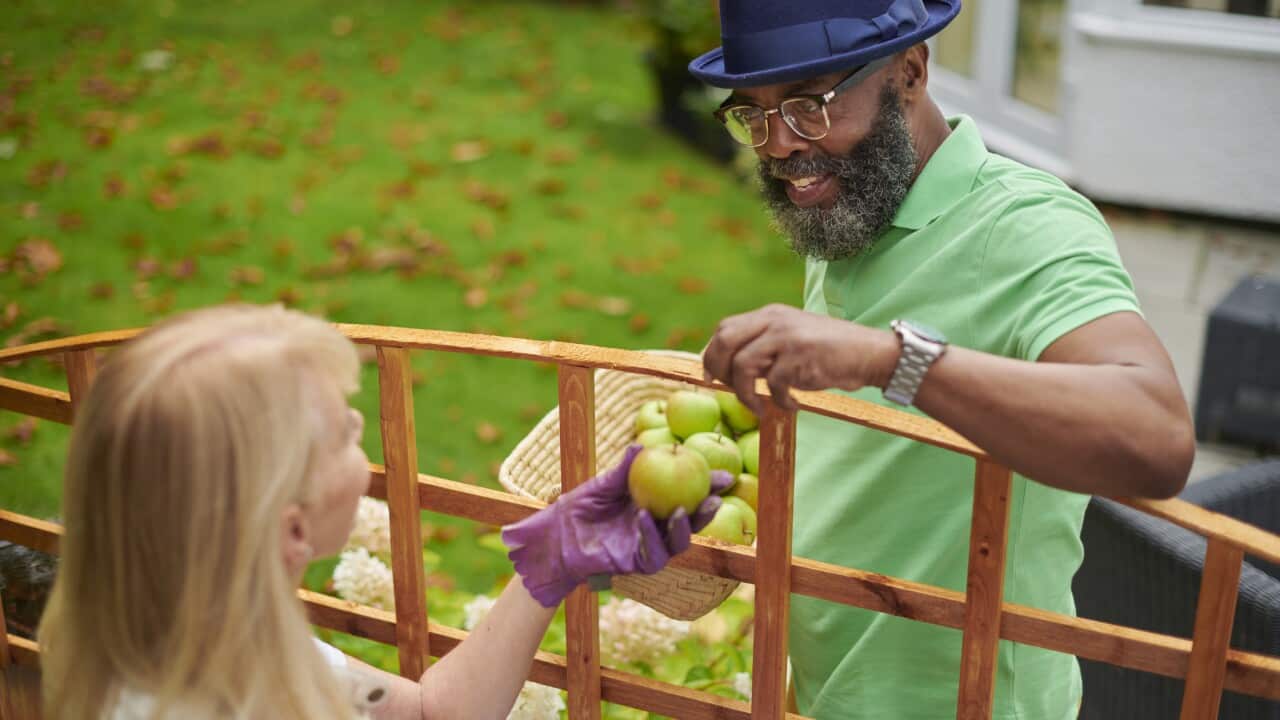 neighbourly food share