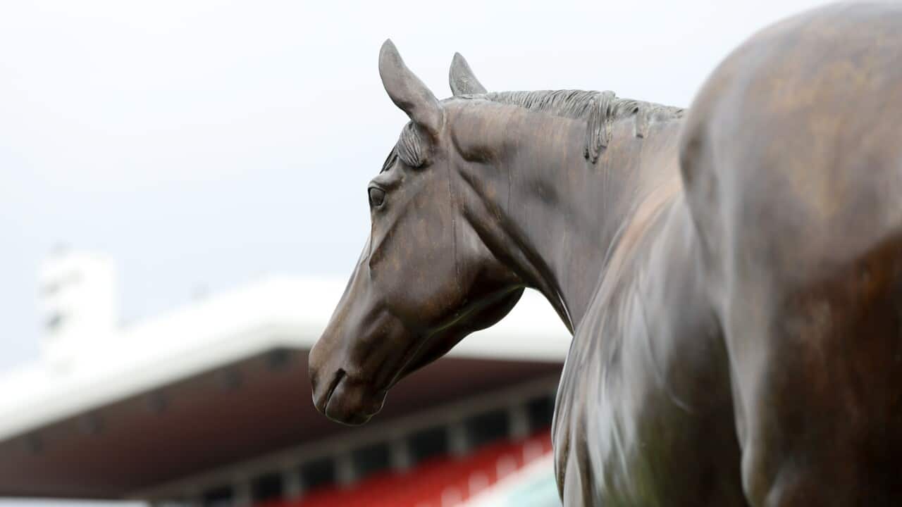MELBOURNE CUP EVE MEDIA CALL