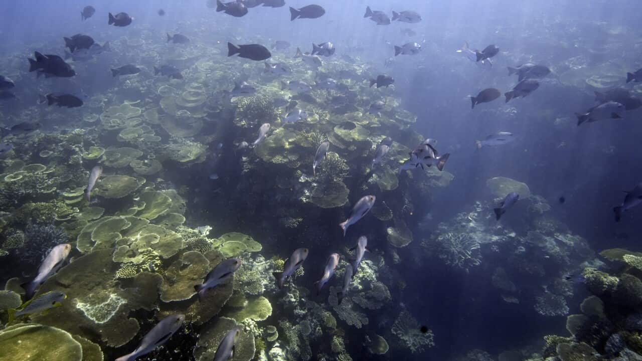 Australia Great Barrier Reef
