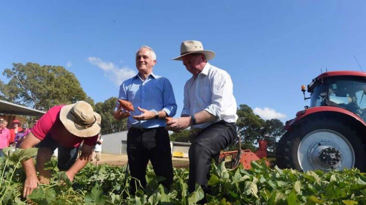 Image for read more article ''