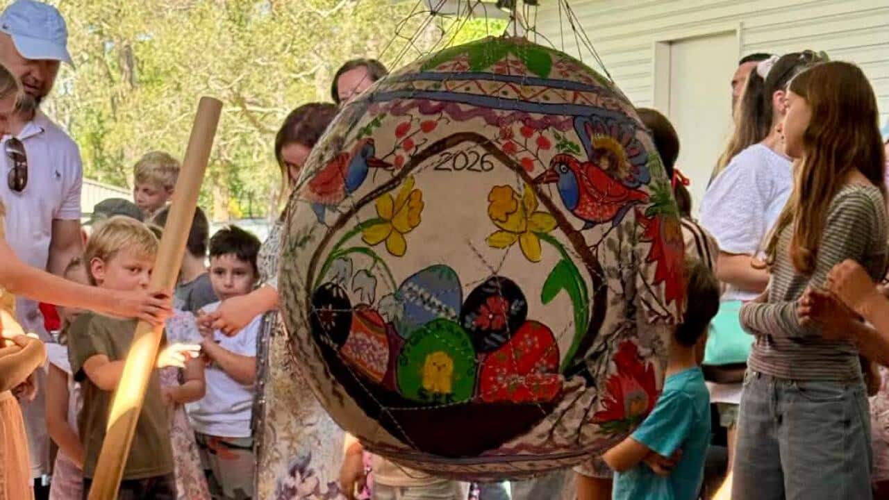 pisnaki w brisbane.jpg