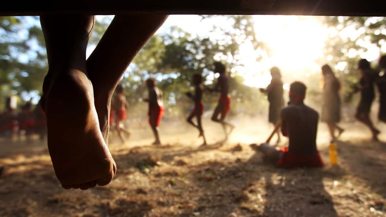 Cape York Peninsula Indigenous children getty.jpg