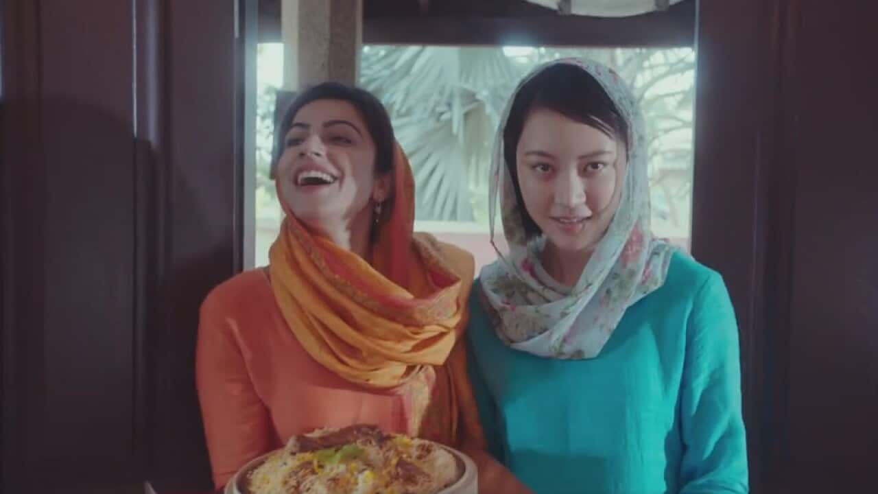 Snapshot from Shan's ad