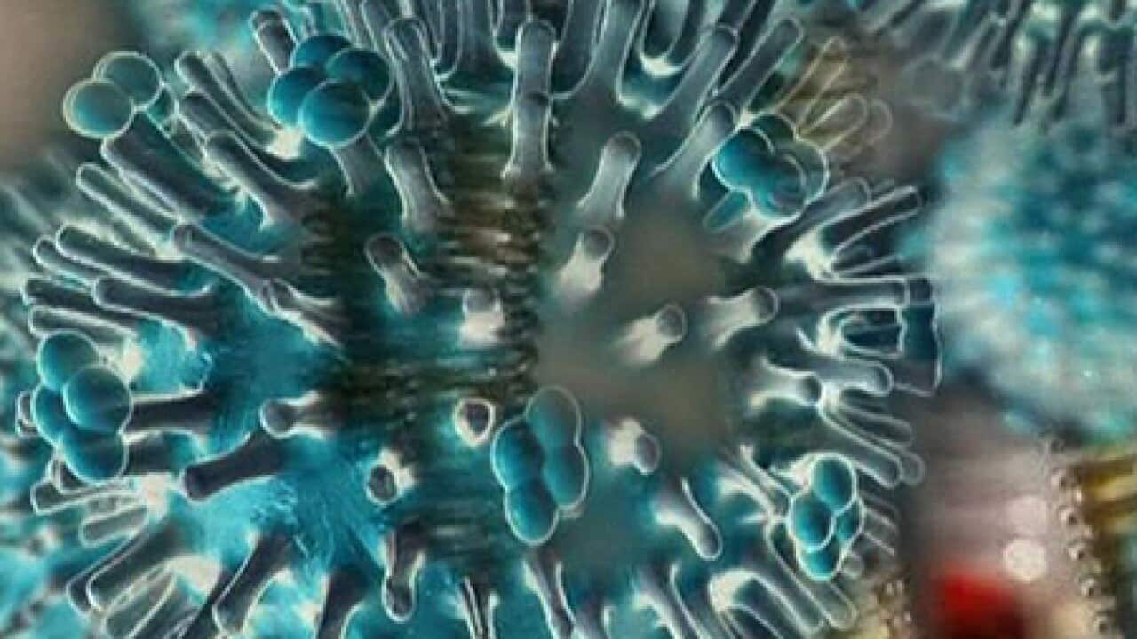 h1n1_virus2_graphic_blue_BBC_B_2407_1120411272