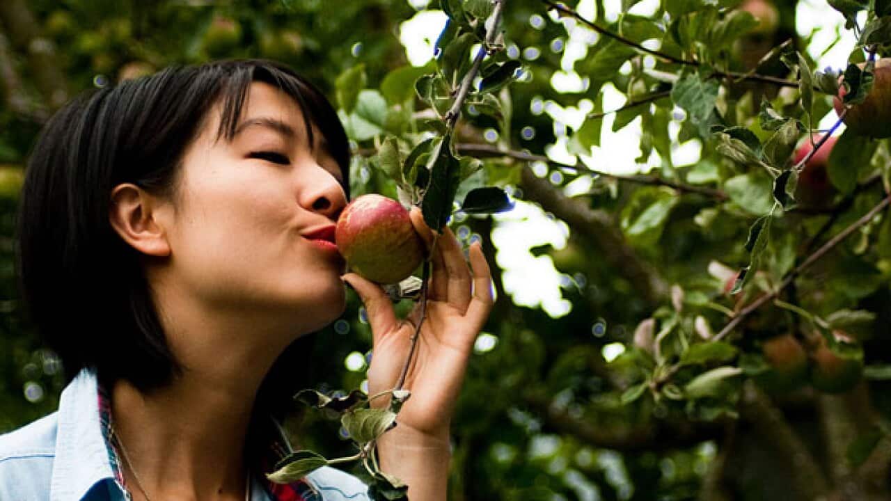 featured-foodie_419794491