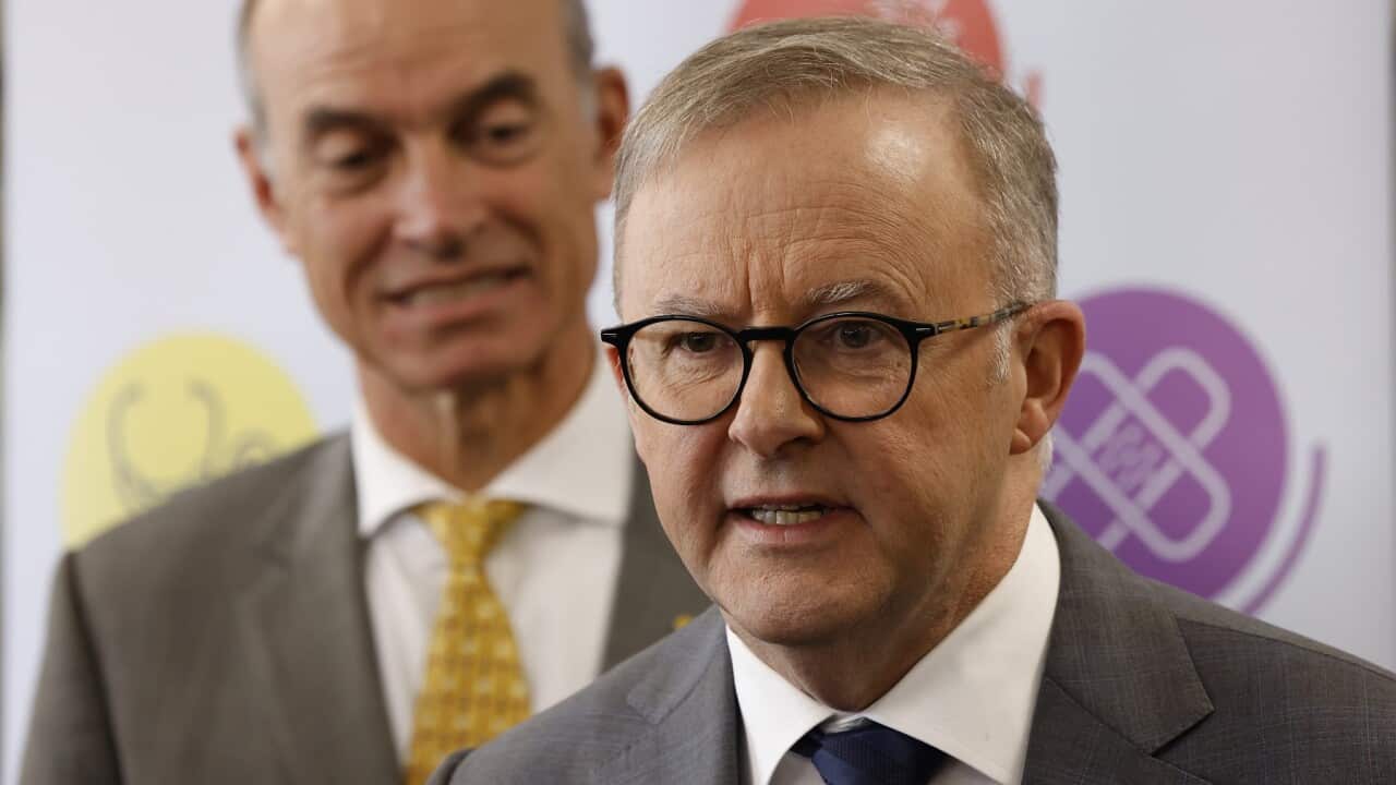 ANTHONY ALBANESE TASMANIA VISIT