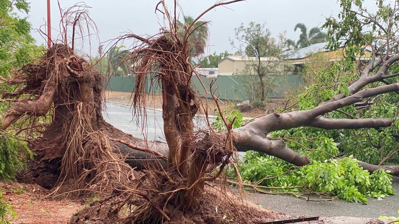 Cyclone Damien has hit WA.