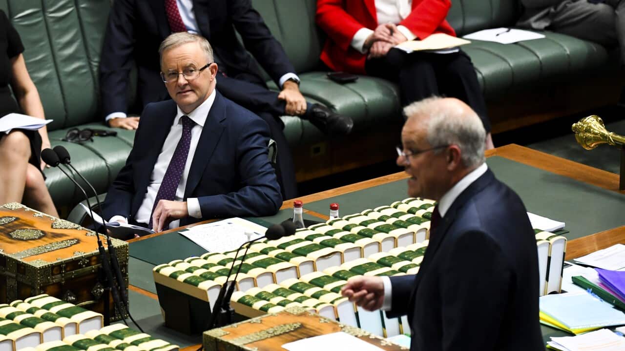 Il leader dell'opposizione federale Anthony Albanese e il Primo Ministro Scott Morrison