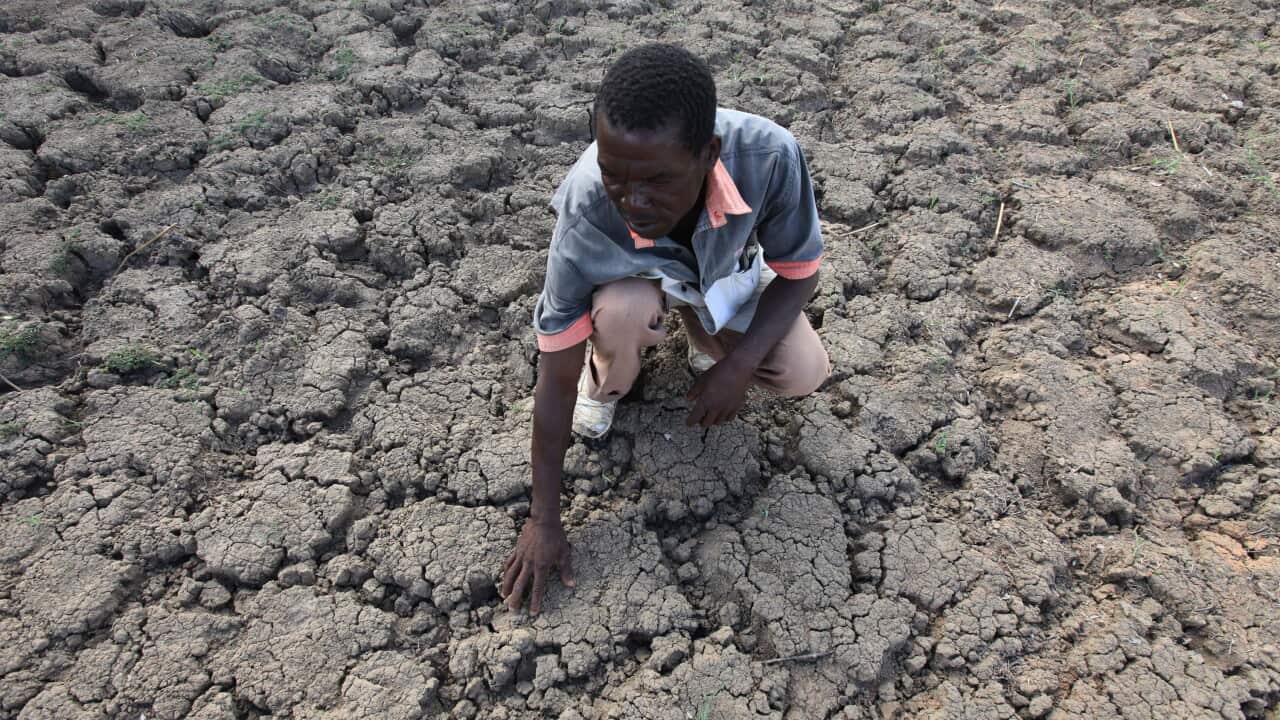 Last Zimaniwa feels the broken ground at a spot which is usually a reliable water source that has dried up due to lack of rains in the village of Chivi , Zimbabwe.
