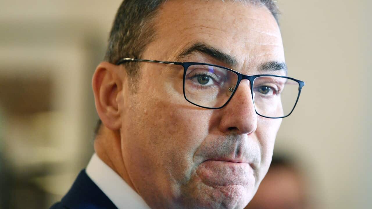 South Australian Premier Steven Marshall.