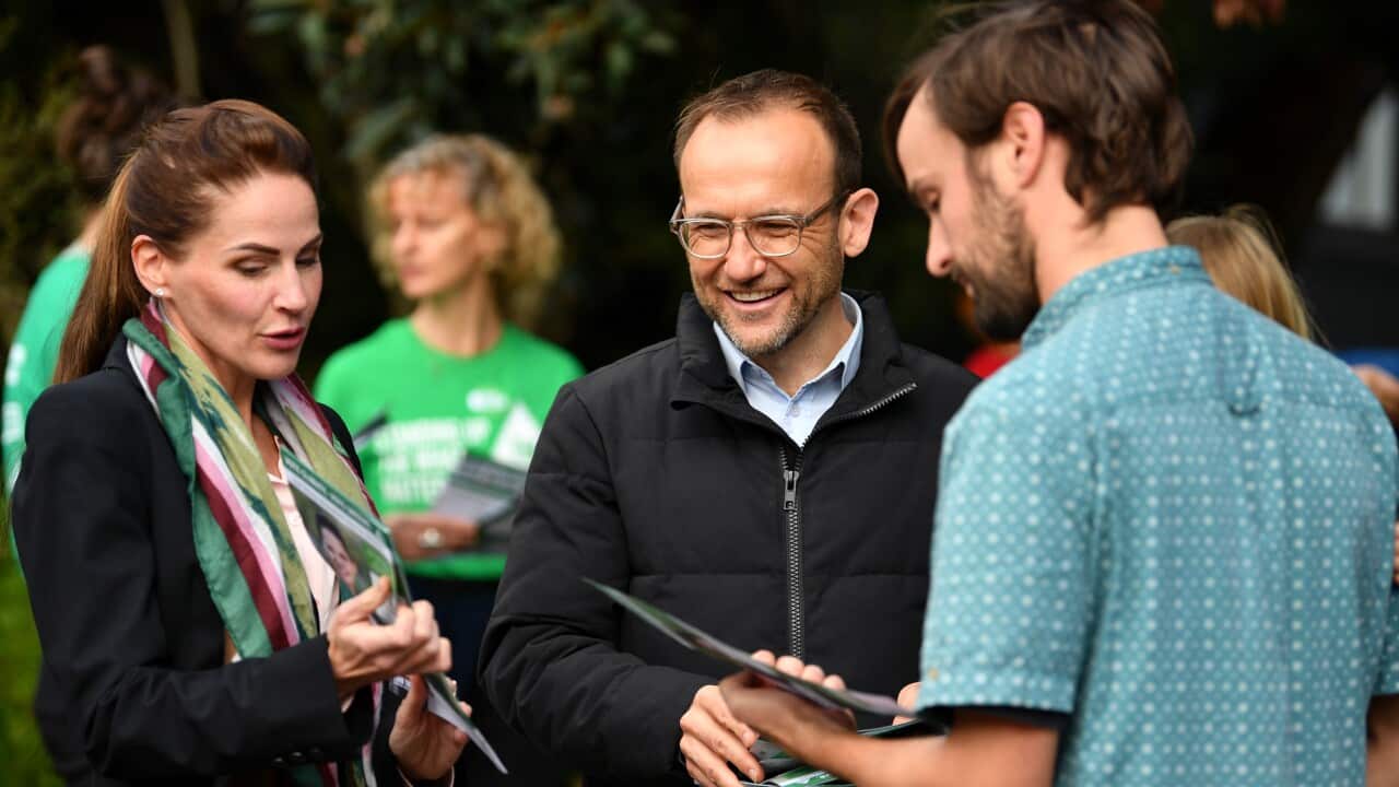 아담 밴트 녹색당 당수/ Greens strategy