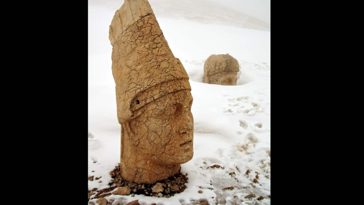 Historic photograph of the year