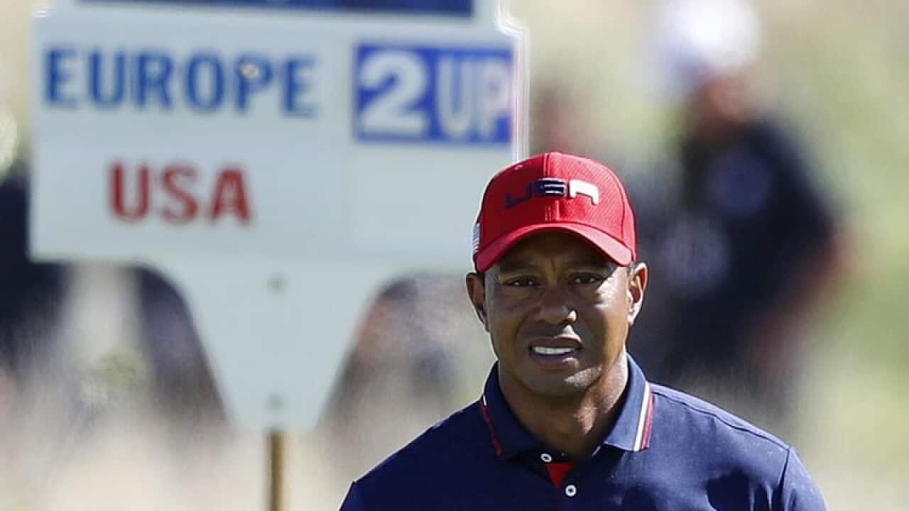 Tiger