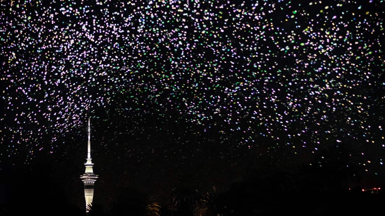 AAF 2023 SPARK Auckland