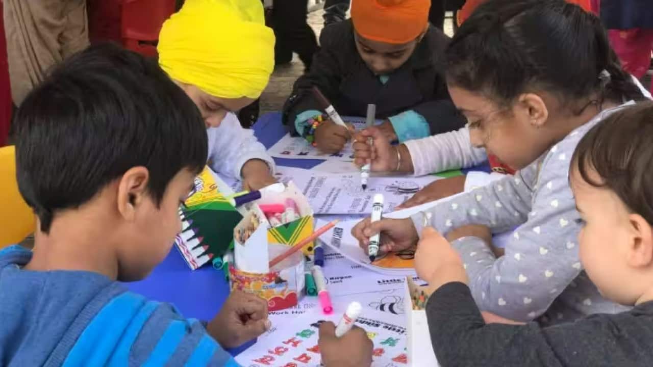 picture punjabi.png