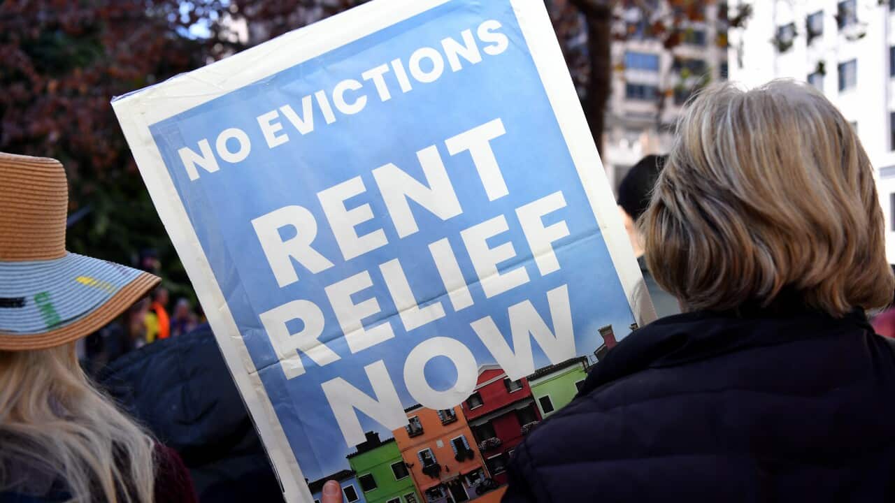 A person at a protest holding a placard that reads "NO EVICTIONS: RENT RELIEF NOW"