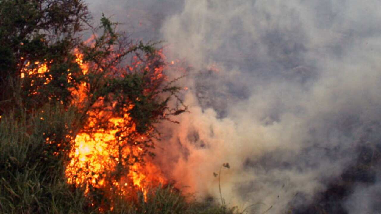 chile_fire_s_120101_getty_2003023517