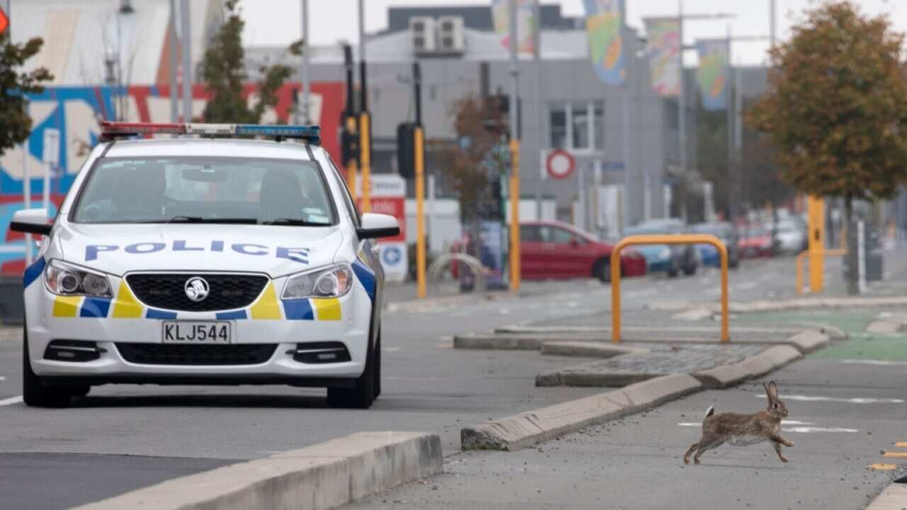 New Zealand has been lockdown for four weeks in an attempt to minimise the spread of the Covid-19 virus.