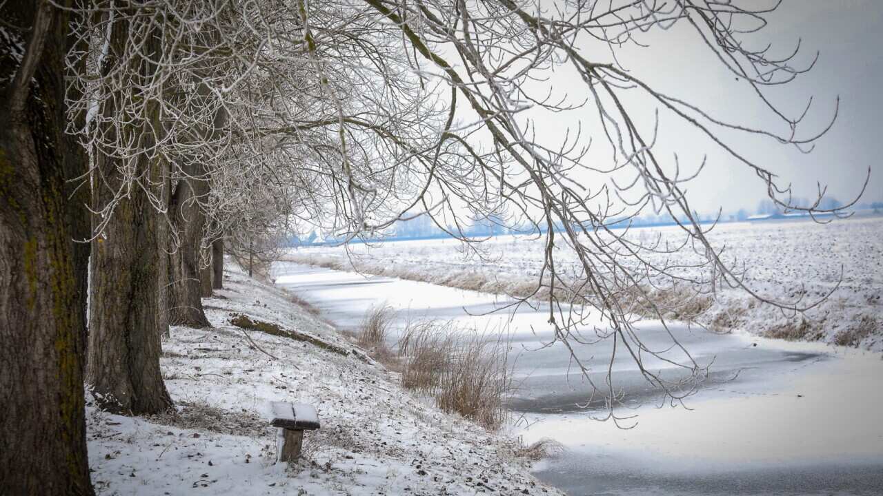 Winter landscape is pictured in Kopacki rit Nature Park on January 21, 2021