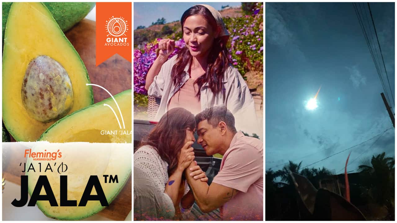 Image for read more article ''