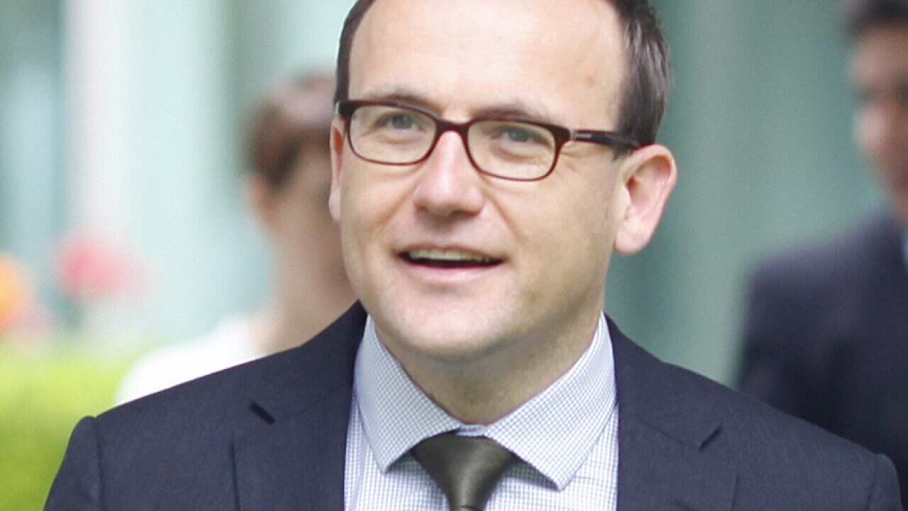 Greens to start costing policies: Bandt