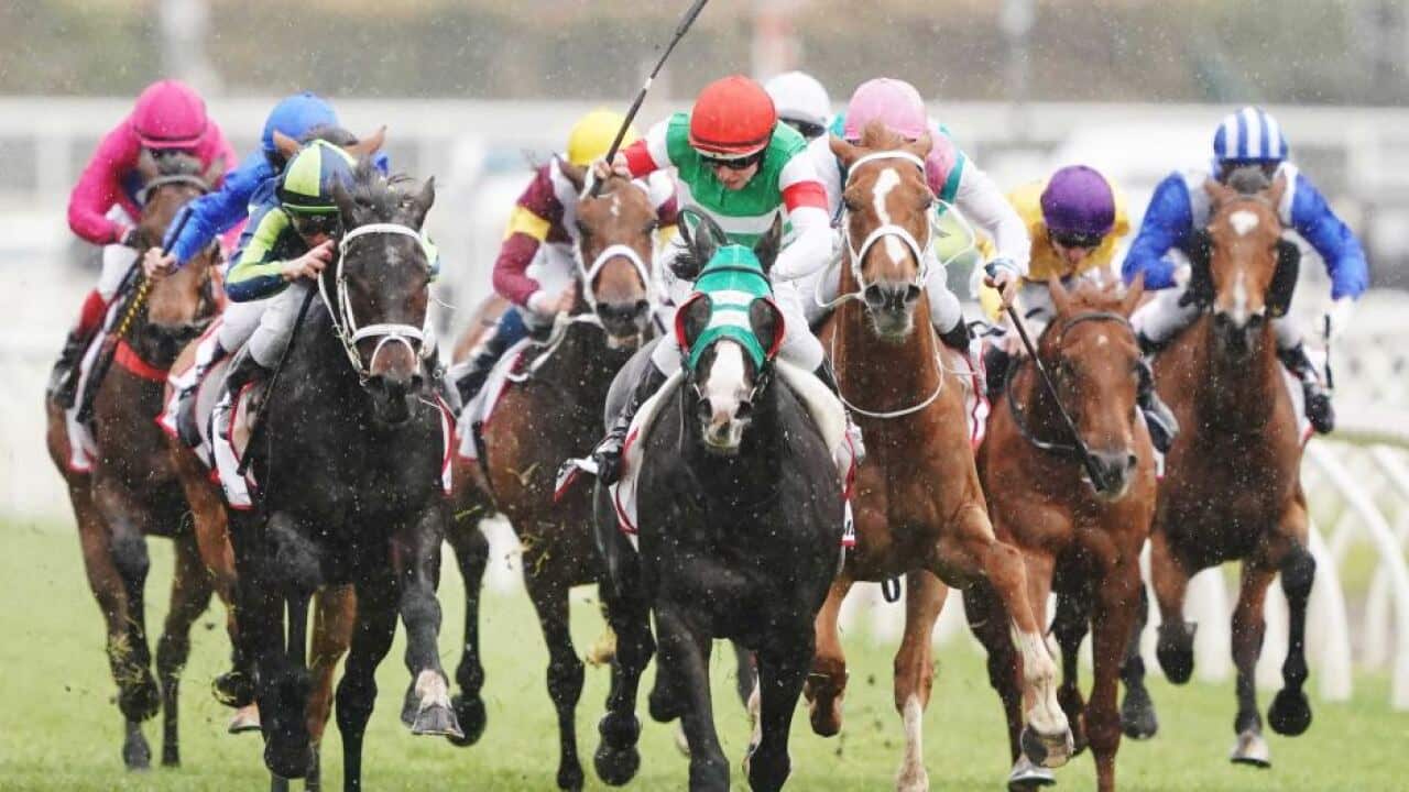 Image for read more article ''