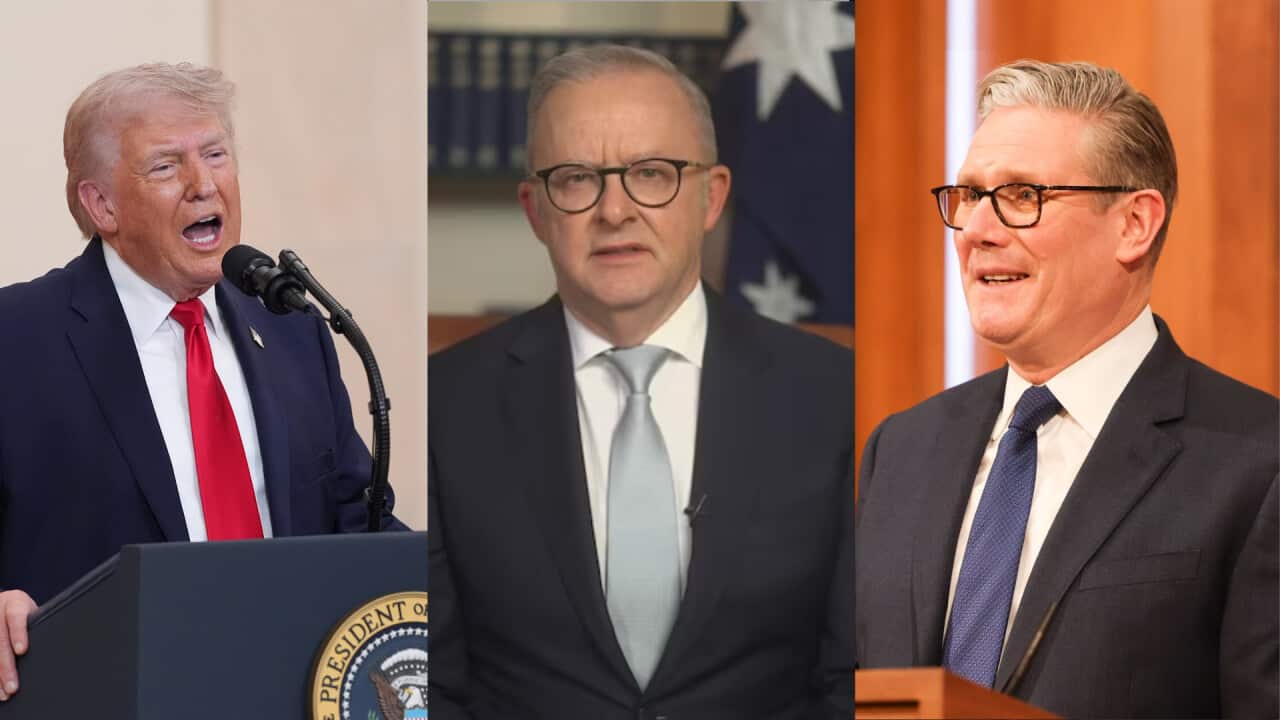 A side-by-side triptych features Donald Trump speaking at a podium on the left, Anthony Albanese in the center, and Keir Starmer on the right.