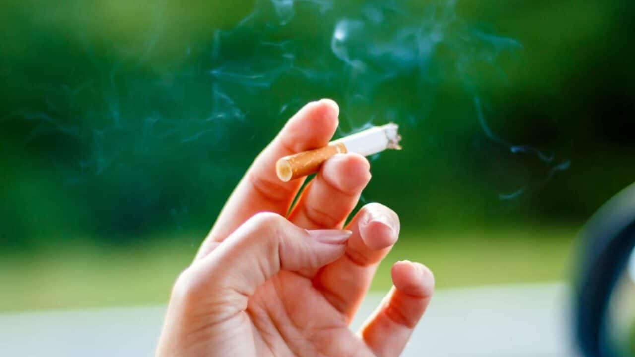 Image for read more article 'READ MORE'