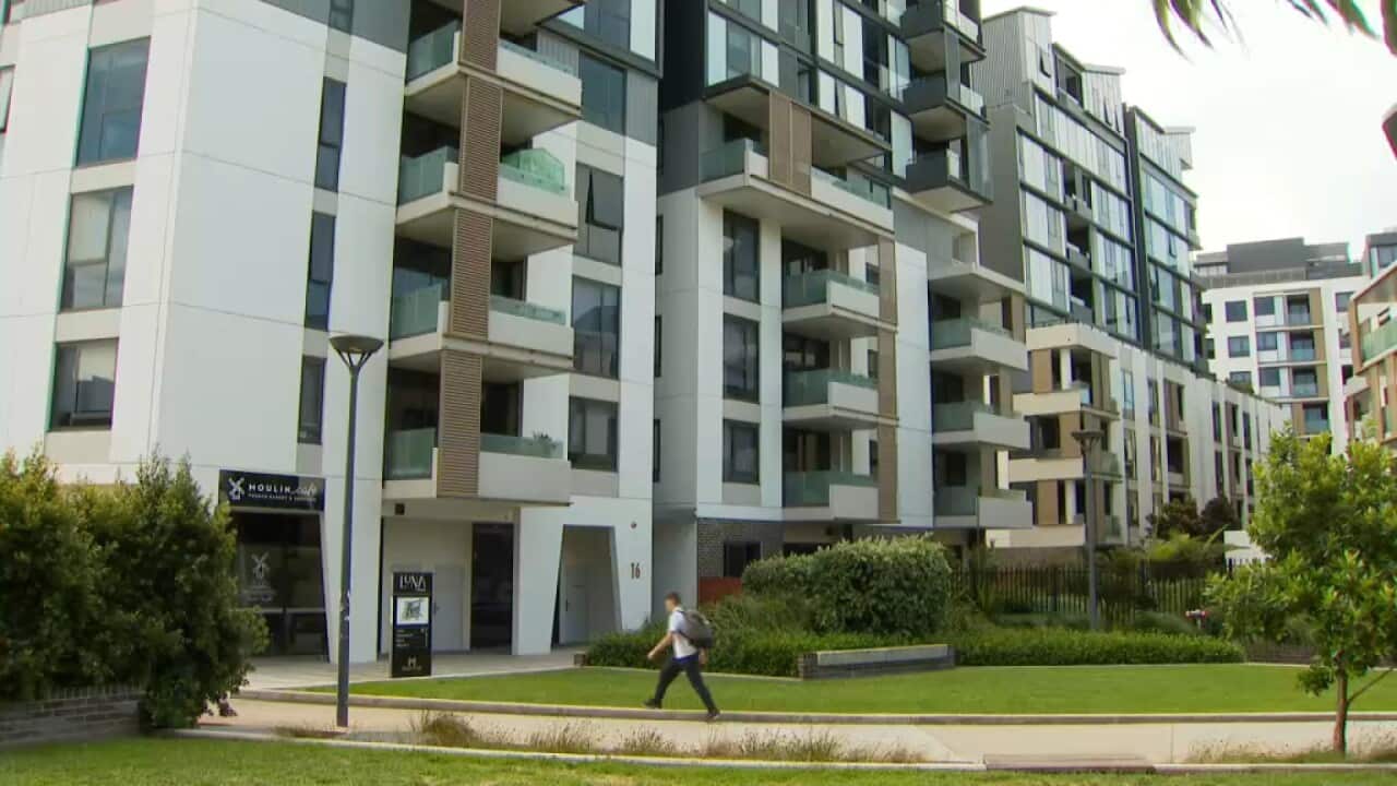 Image for read more article 'READ MORE'